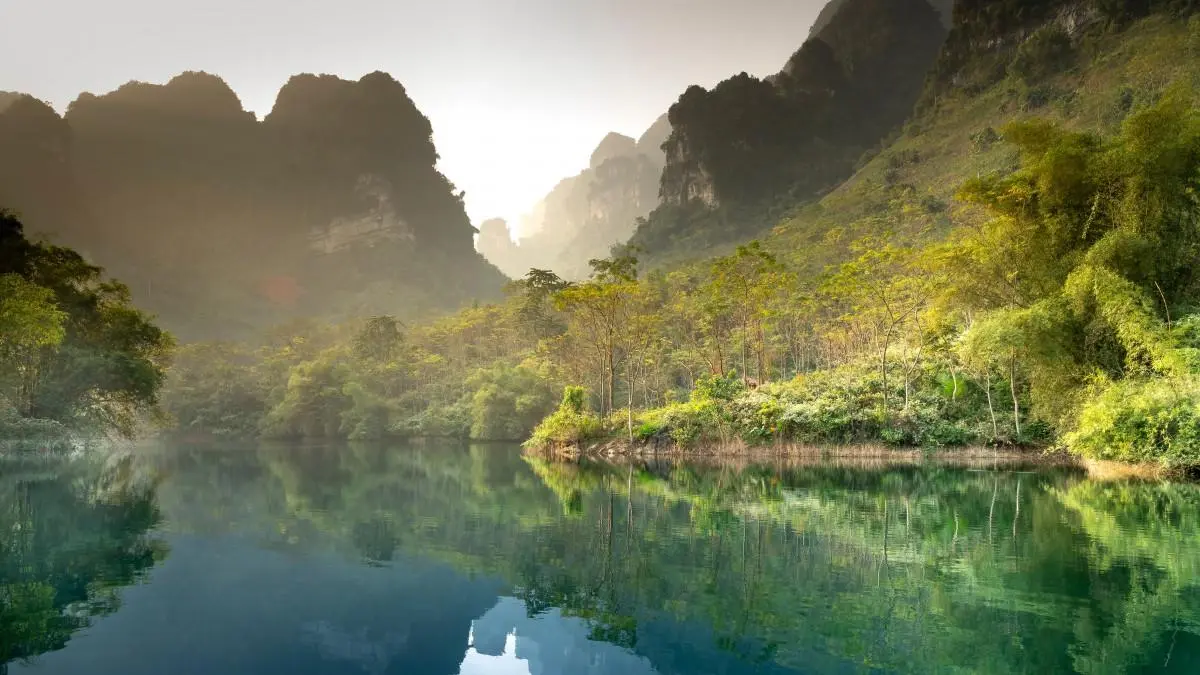 高效电子高标准